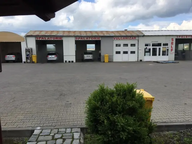 Boxele noastre, văzute din curte